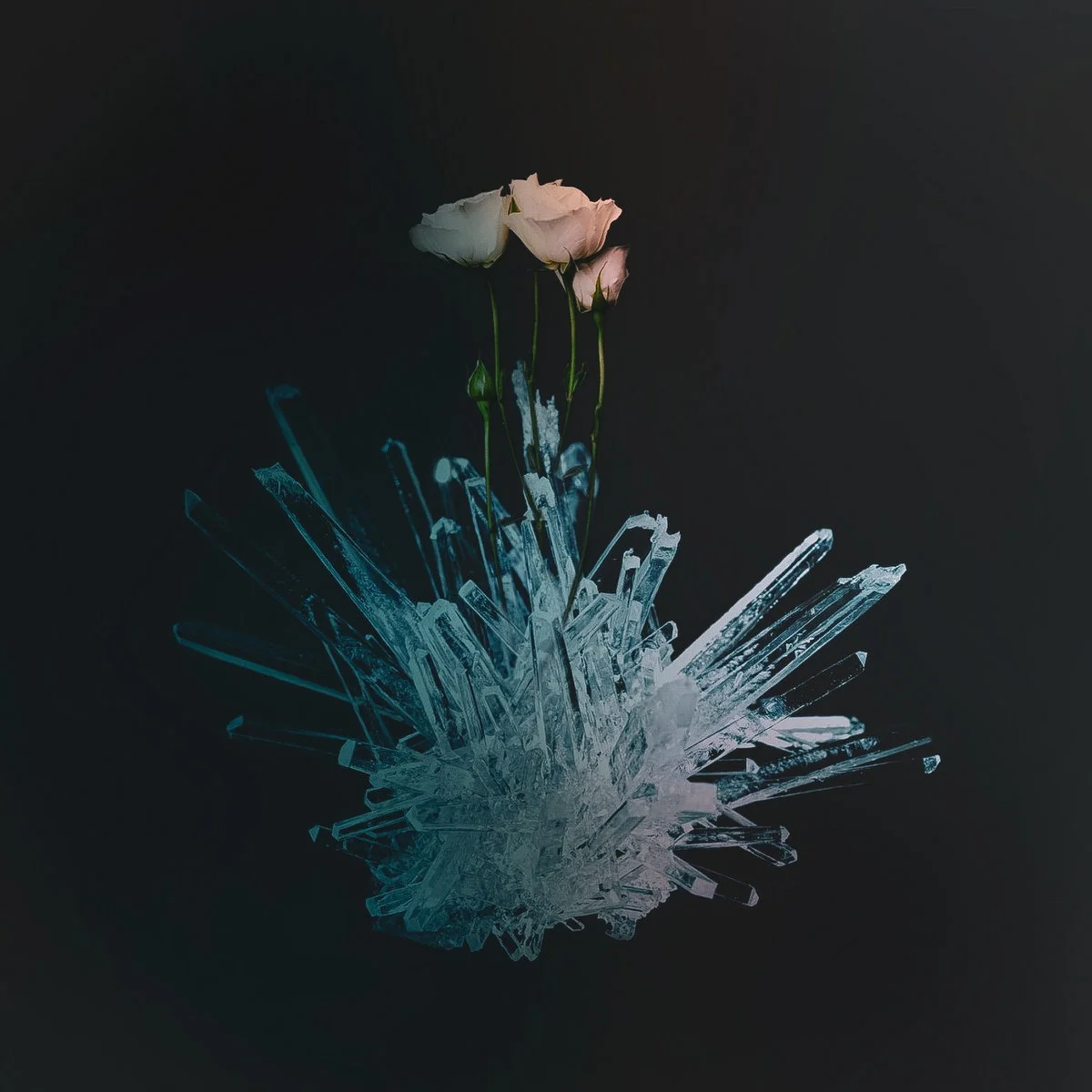 Track「Paper Ocean」by WDE in XiX Remixes Compilation